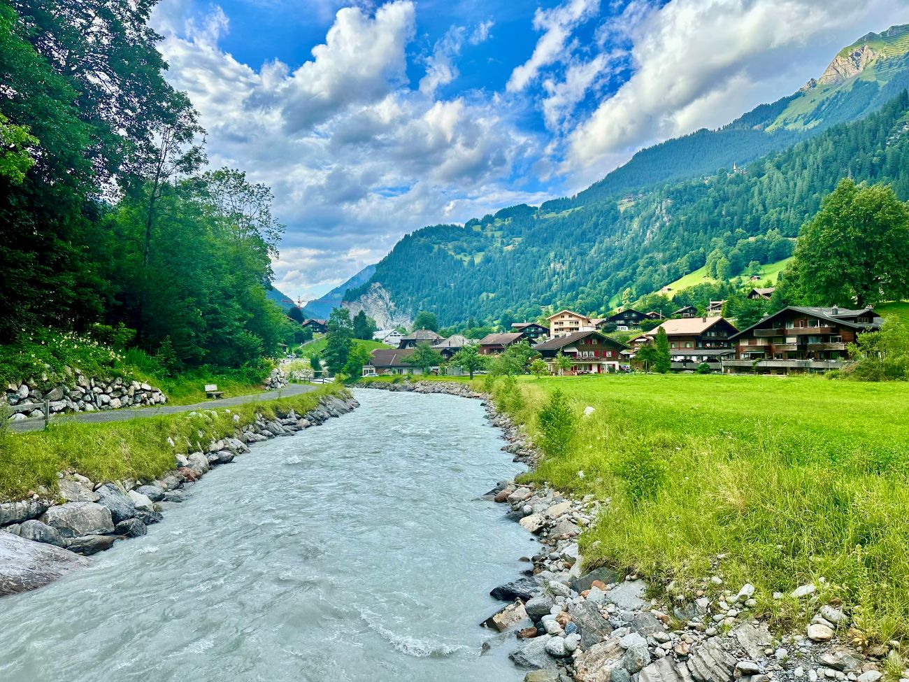 Image of a river with lush background during a morning in Switzerland