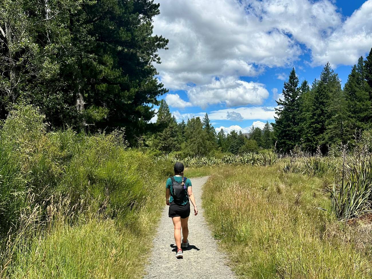 Girl hiking through trail during sunny New Zealand weather
