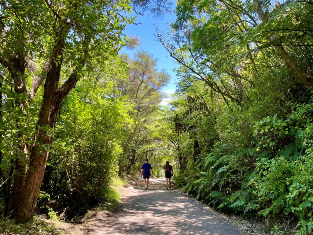 Two people in the distance walking during the morning down a sunny, forest path