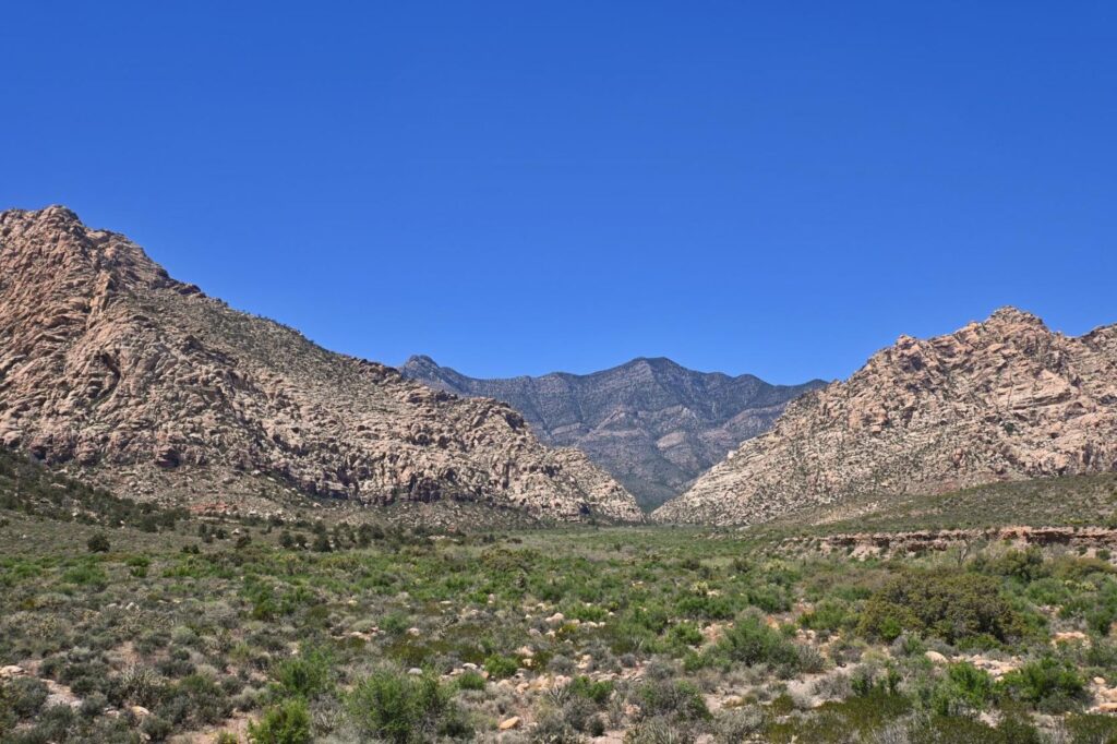 Landscape image of the Red Rock Canyon National Conservation Area