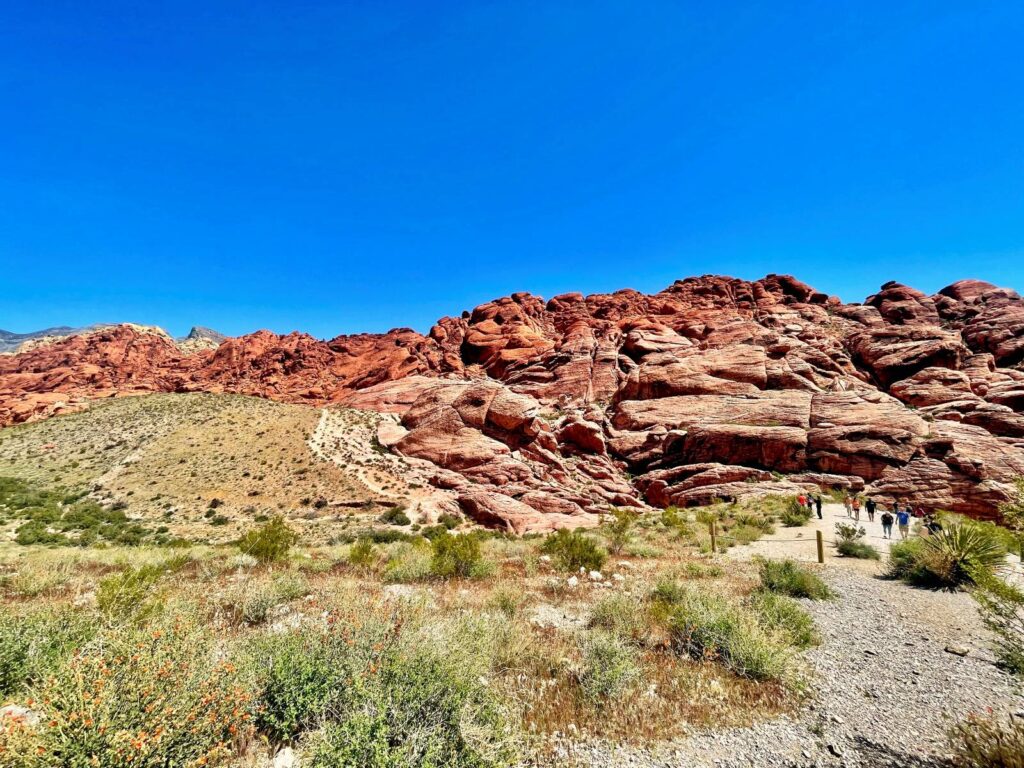 Red Rock Canyon desert view of people viewing the red rock landscape