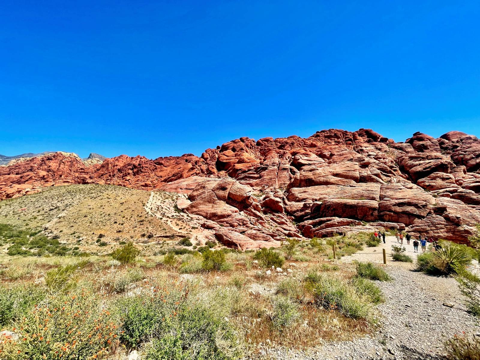 Red Rock Canyon desert view of people viewing the red rock landscape