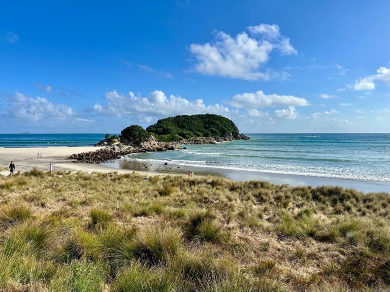 Morning shot of a beach and sandunes