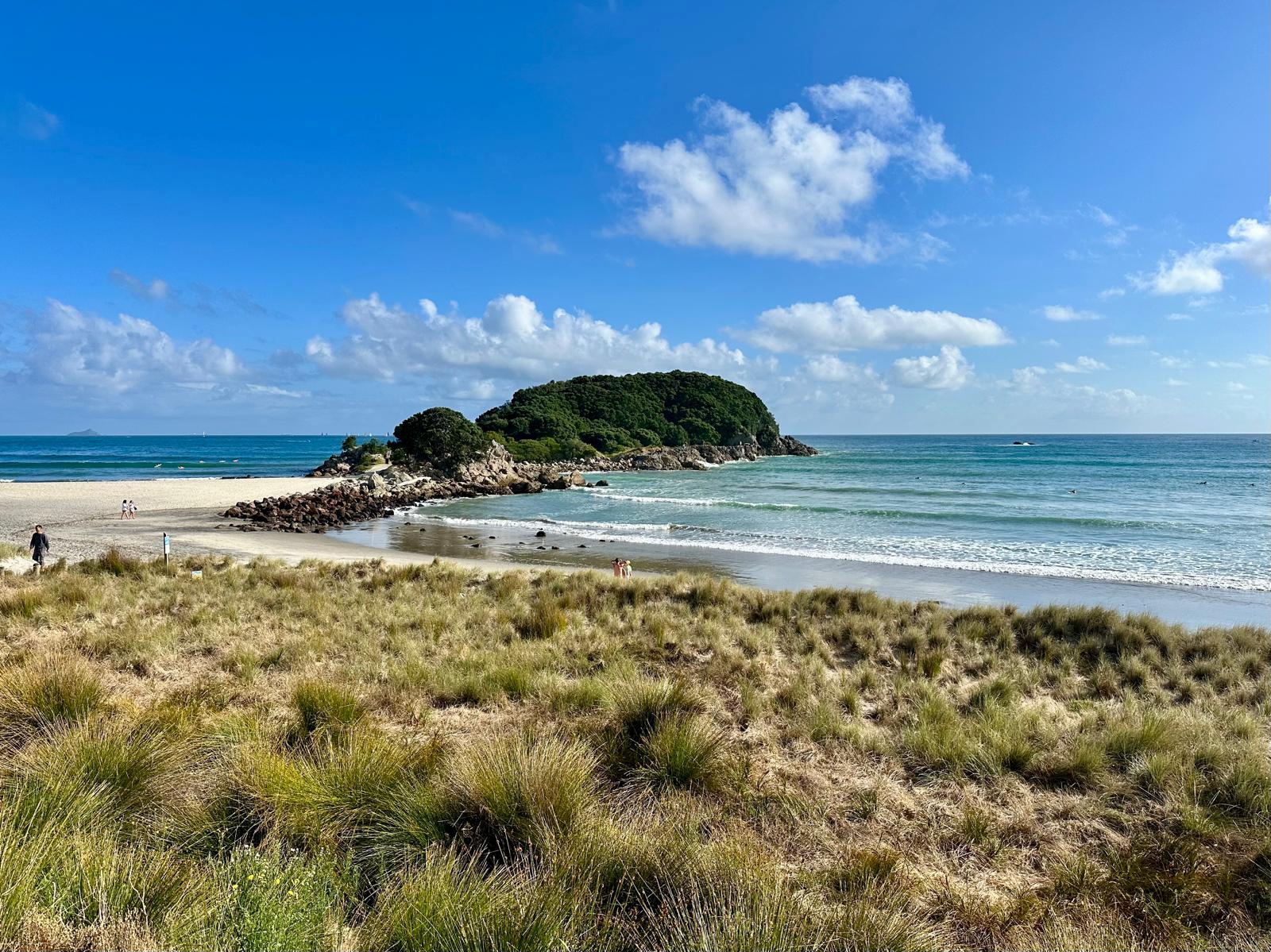 Morning shot of a beach and sandunes