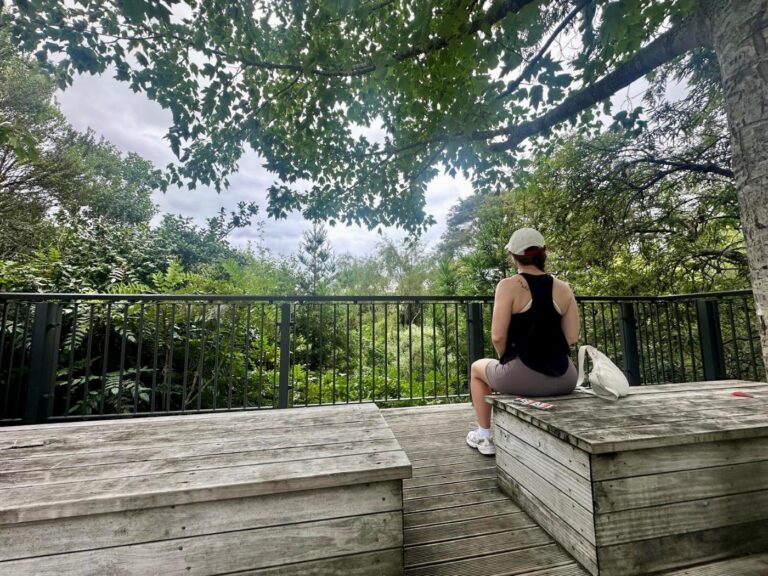 A traveller sitting on a wooden platform overlooking trees and greenery