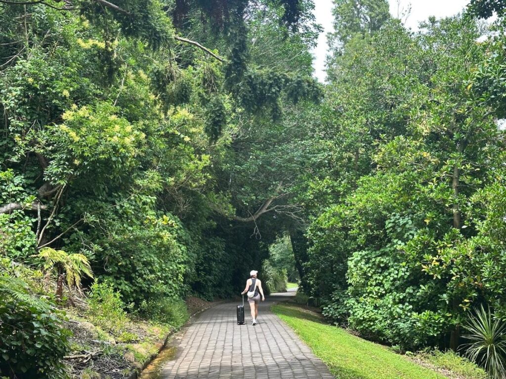 A woman in the distance walking through a park with her suitcase