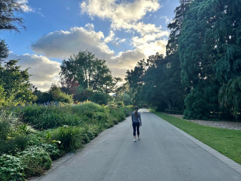 Woman walking through Hagley Park during a quiet morning