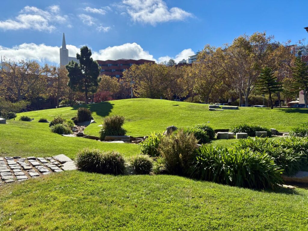 A park in an urban city with green grass and trees