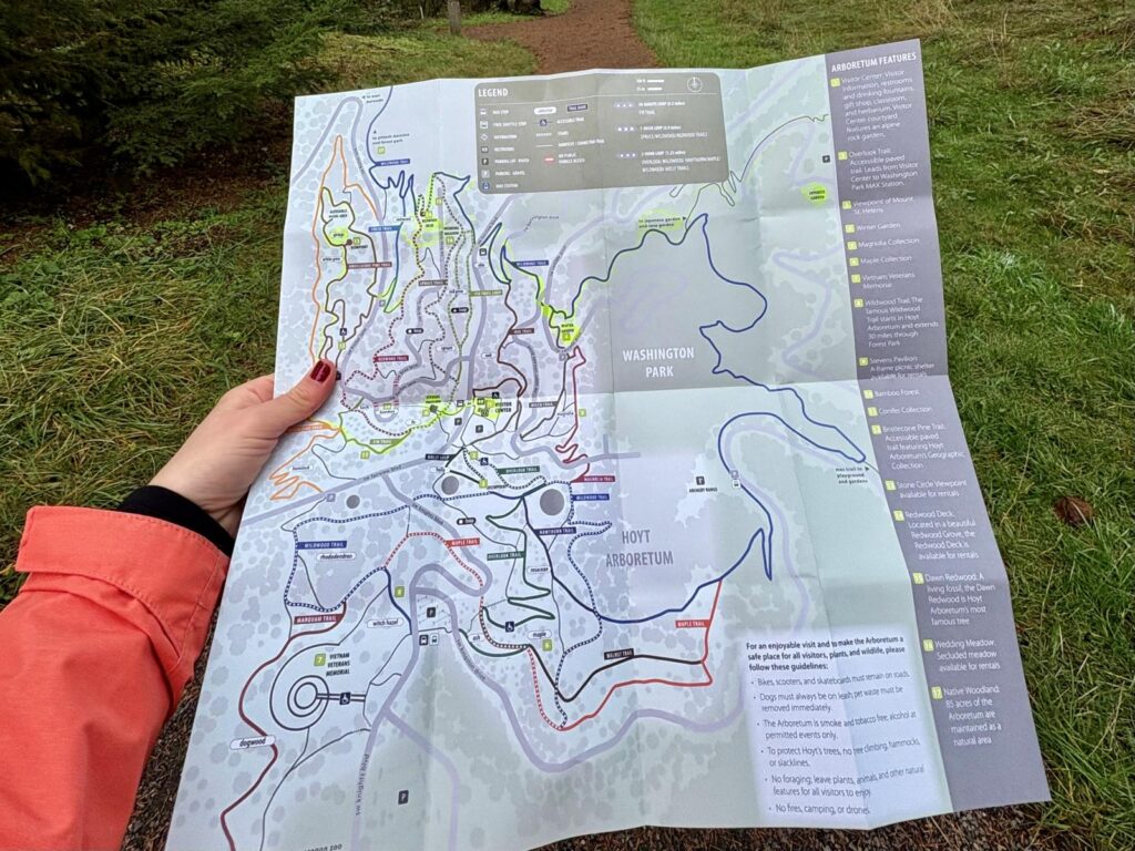 A person holds a map to navigate travel
