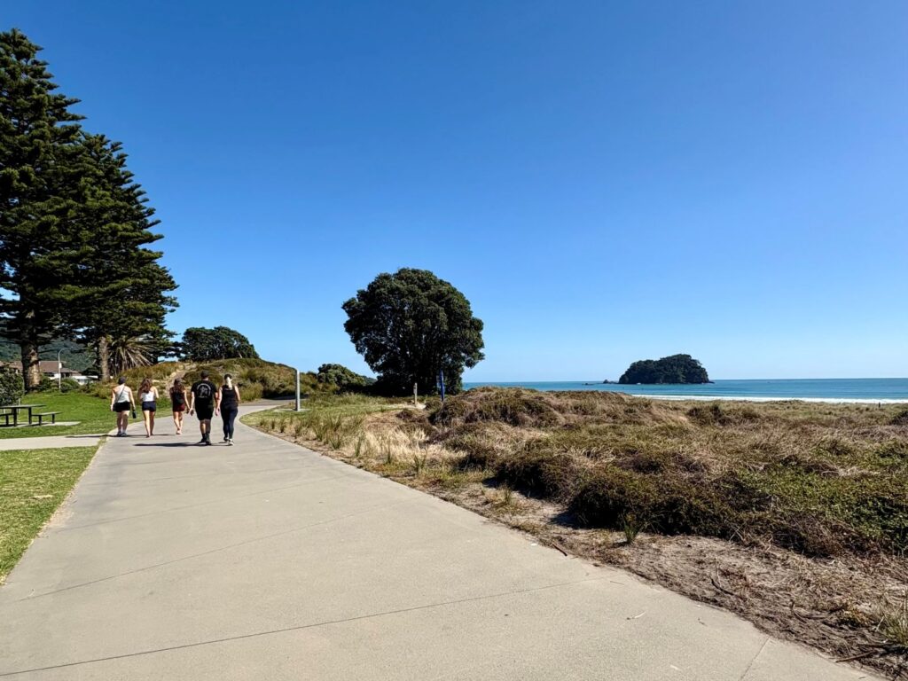Walking track alongside a beach with people walking in the distance