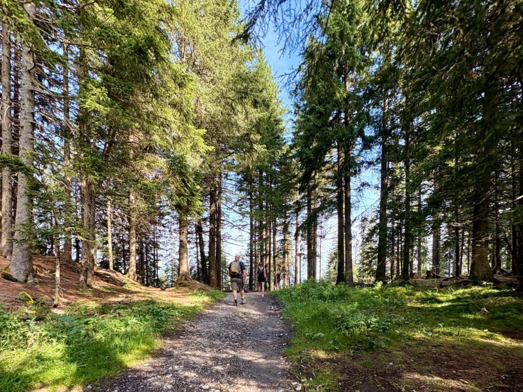 People hiking through a forest in Switzerland