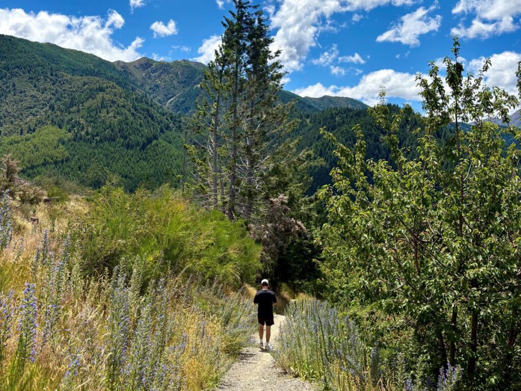 Man walking on a hiking trail in Hanmer, New Zealand