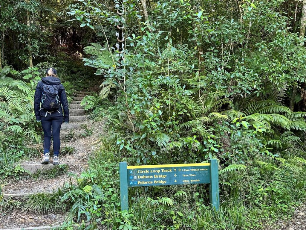 Woman on a hike while travelling through New Zealand