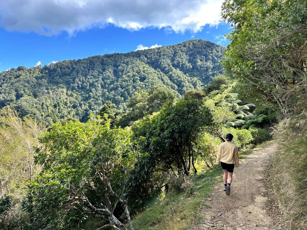 Woman hiking while travelling in New Zealand