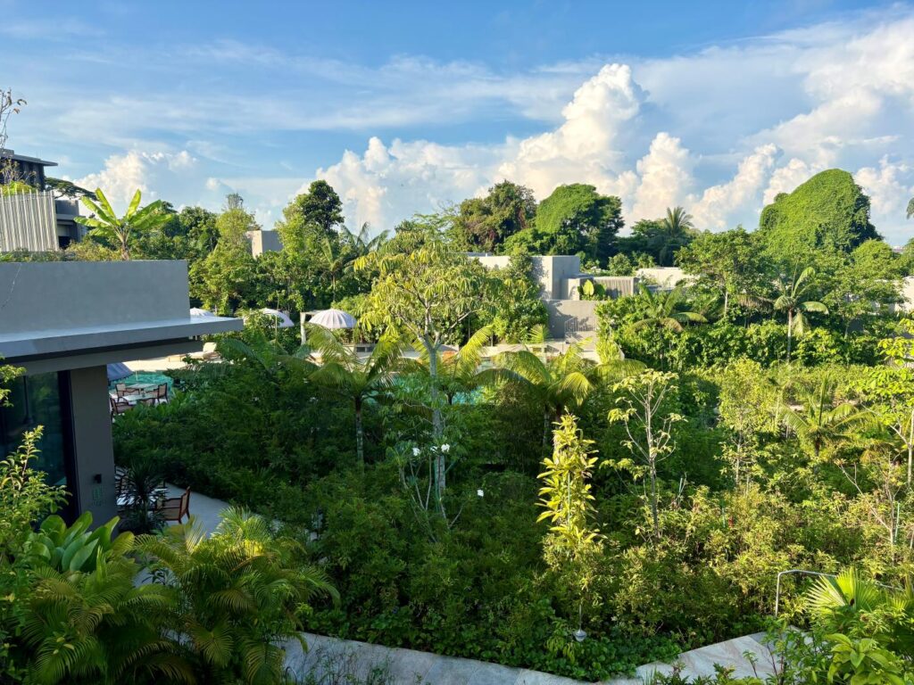Overlooking forest in Sentosa Singapore, a green space retreat