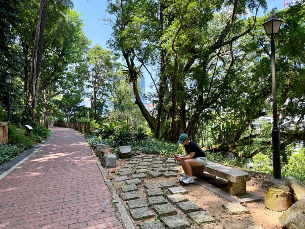 Woman sits on park bench looking at phone for directions, practicing soft digital detox travel