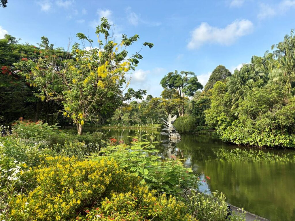 A green area in the Botanic Gardens in Singapore