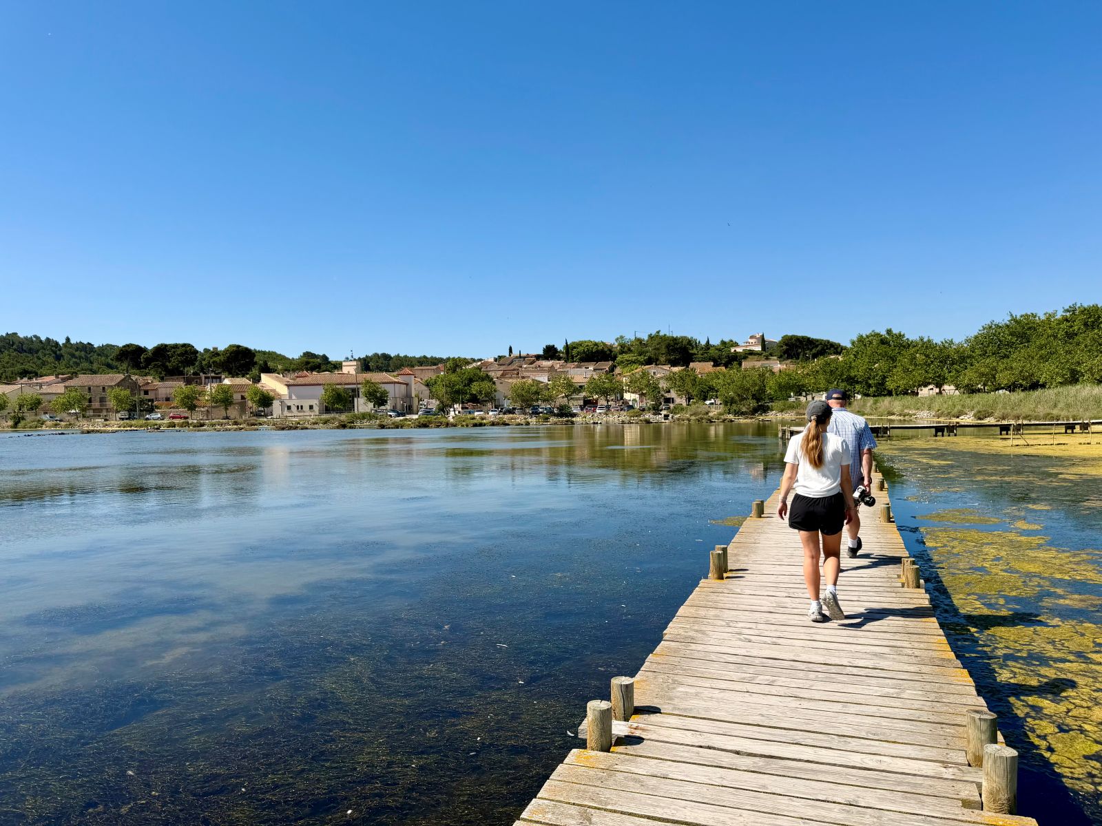Woman and man walking along a boardwalk across a wetland, during a calm-cation